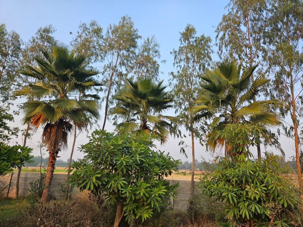 farm house in lucknow