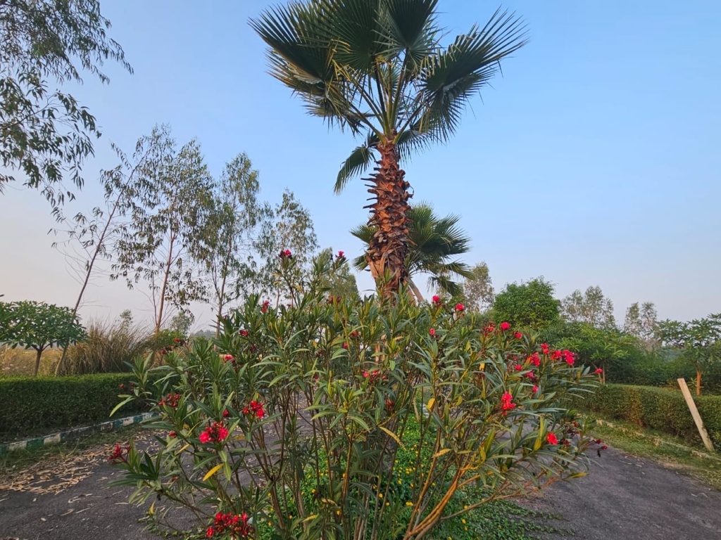 farm house in lucknow