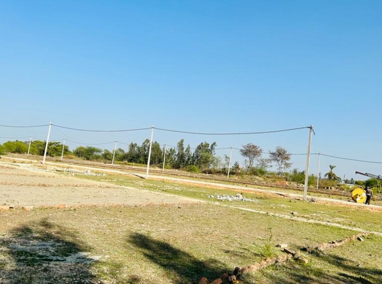 Prime Plots in Lucknow